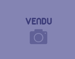 vendu